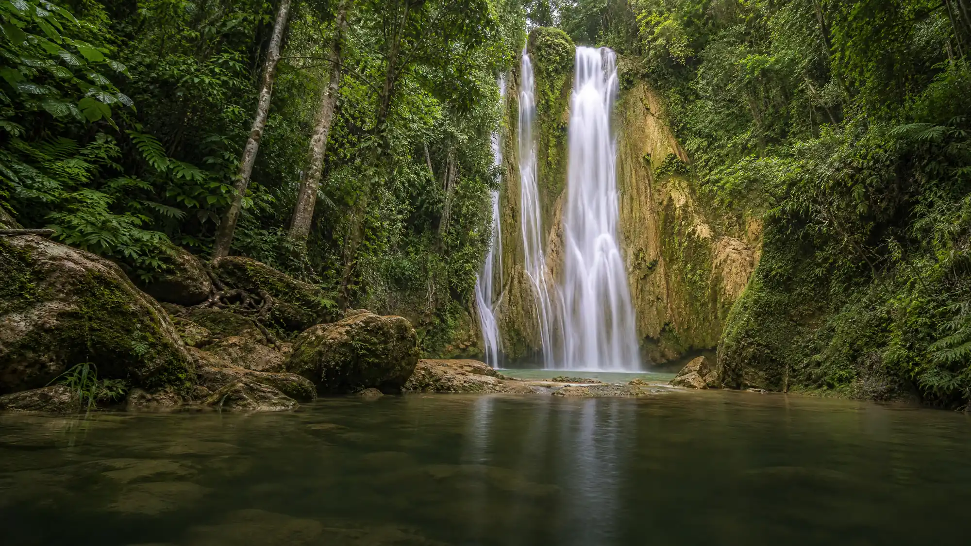 Una cascata di 40 metri nella foresta pluviale dominicana. Puoi raggiungere la profonda piscina naturale facendo trekking o andando a cavallo lungo un sentiero di 2.5 chilometri.