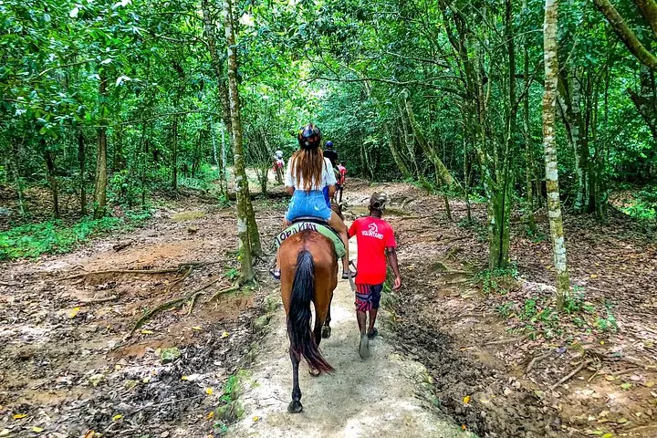 Person horseback riding through a dense, muddy tropical forest trail.